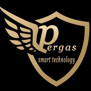 دوربین مداربسته برند PERGAS